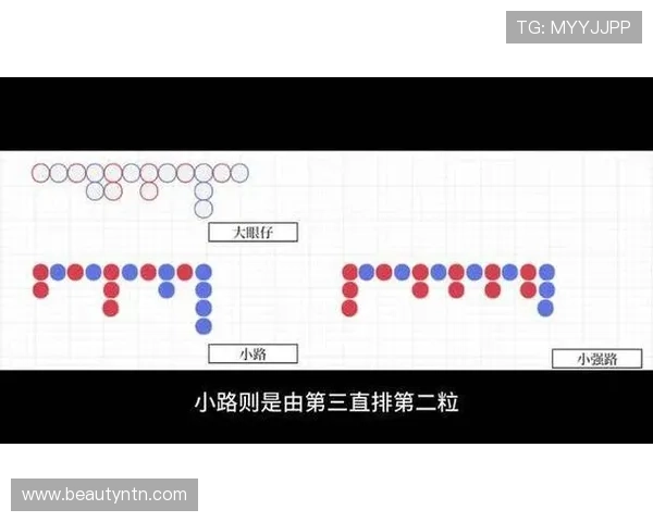 百家乐下三路图解的详细步骤与实战经验分享帮助新手快速入门并提升技巧