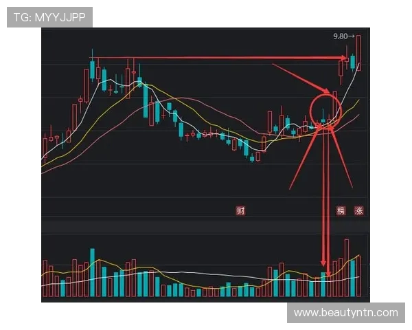 东方财富平台上ST亚星股票的历史走势与技术分析方法
