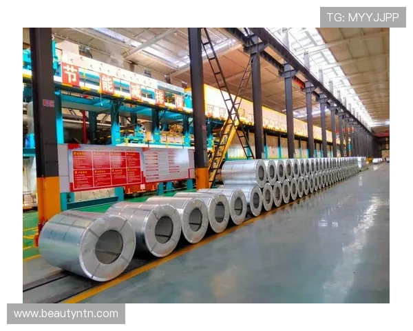 亚星6960型号详细参数及使用指南，帮助用户更好了解产品功能与优势